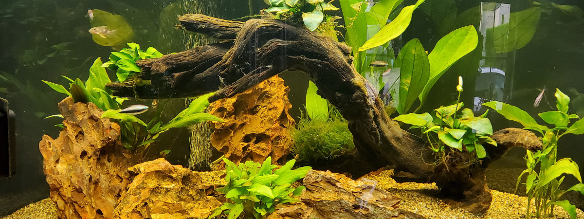 aquarium TRIGON 190