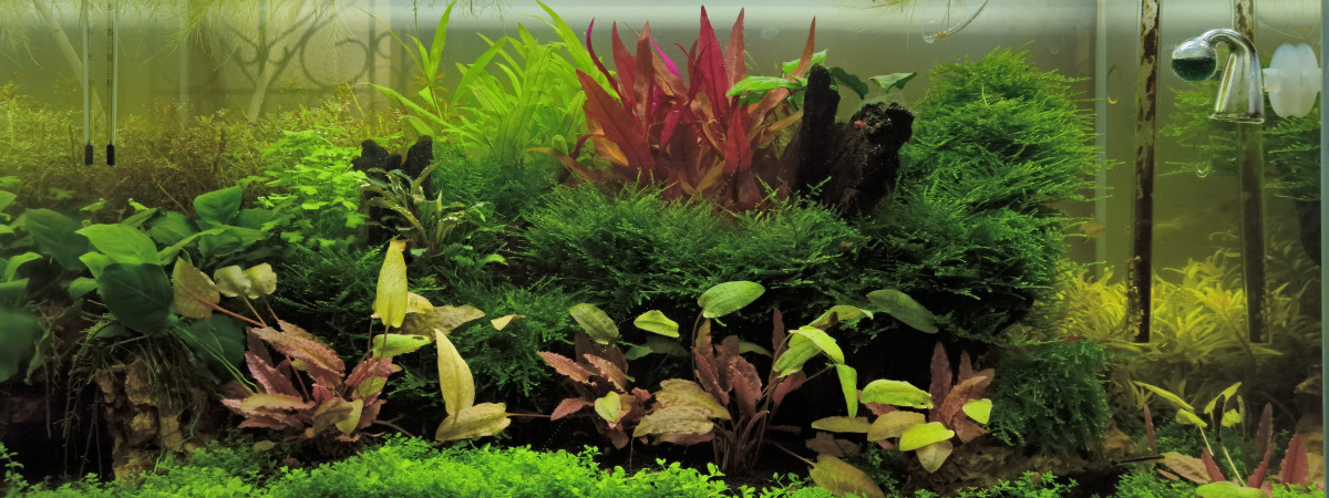 aquarium LBC 2023