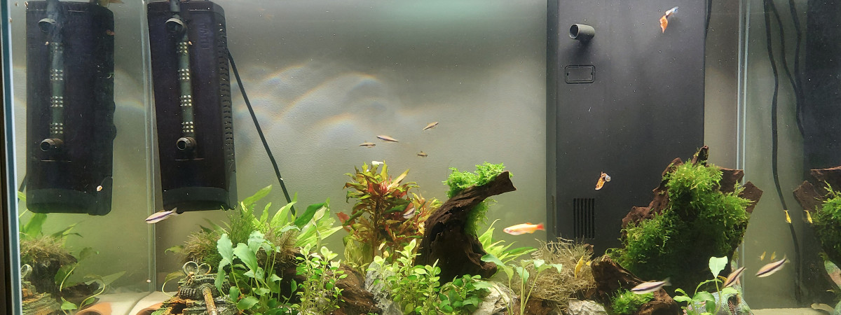 aquarium Aquarium Salon