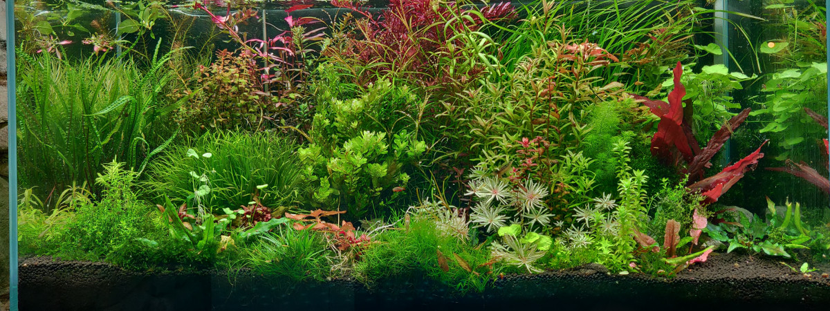 aquarium Aquael Ultra Clear