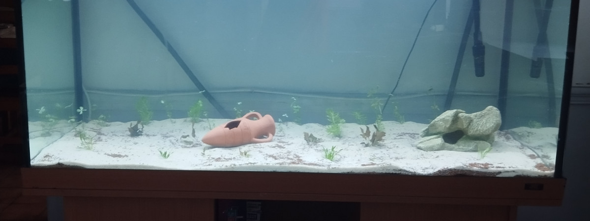 aquarium Aquarium Communautaire