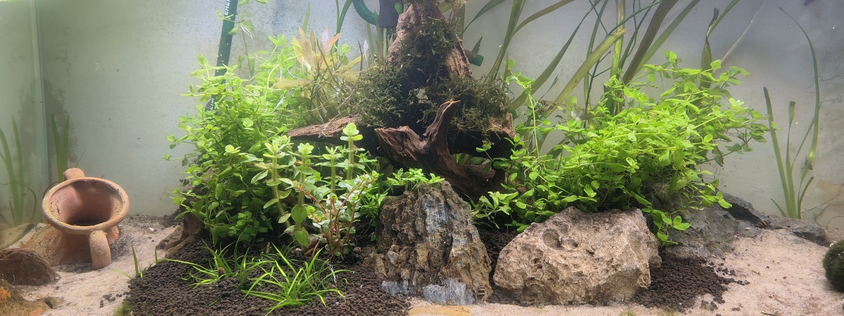 aquarium SimpleScape