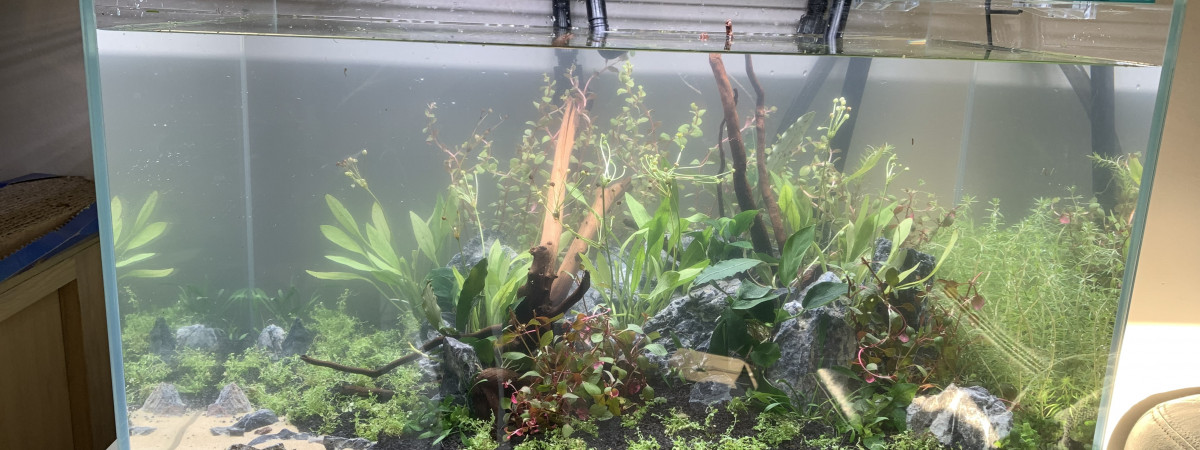 aquarium Salon