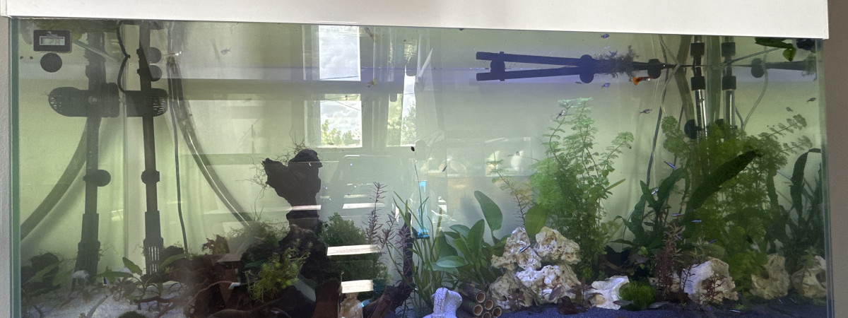 aquarium Aquarium 250 litres