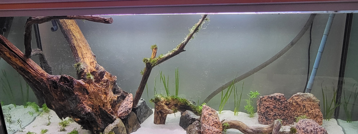 aquarium 450l