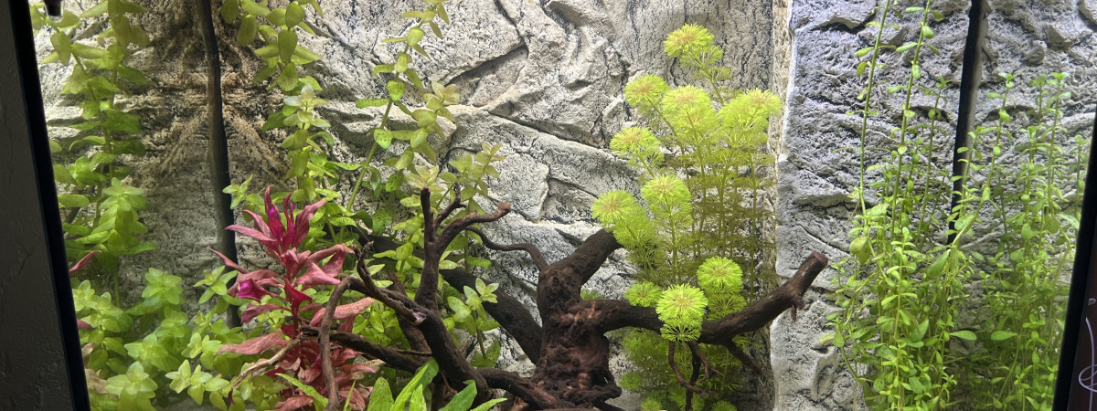aquarium Juwel Lido  120