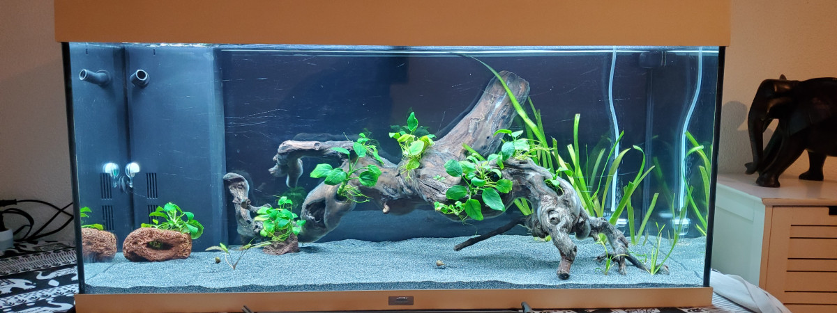 aquarium Stef0535