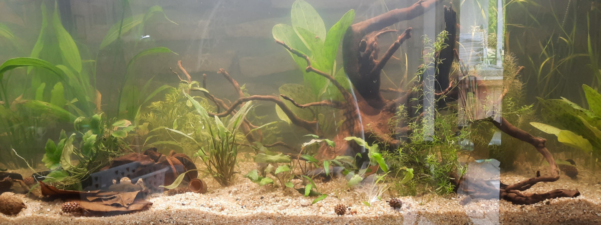 aquarium 200 litres