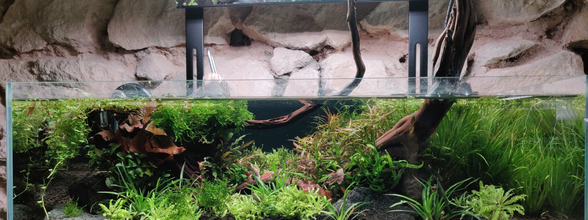 aquarium Shallow 44