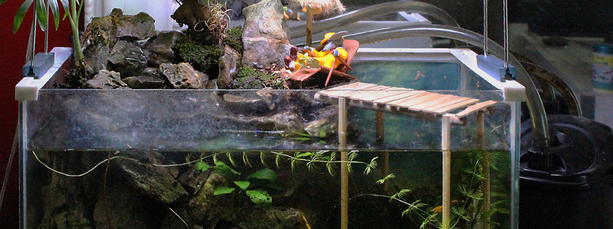 aquarium Robertino a la peche