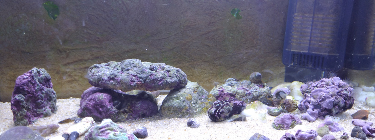 aquarium piscine de plage