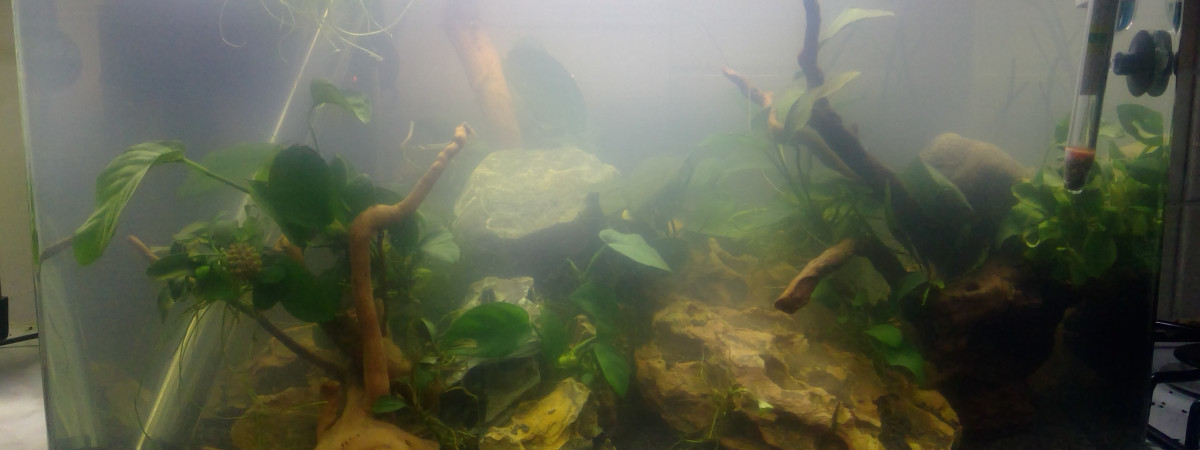 aquarium Aquarium 38 L