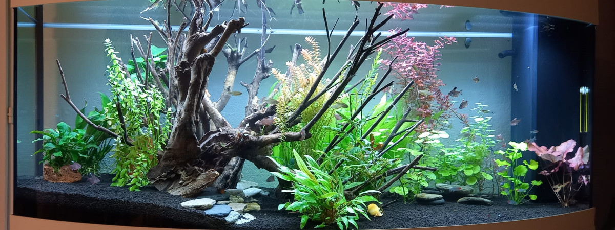 aquarium 450 Litres