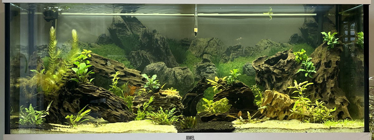 aquarium Juwel