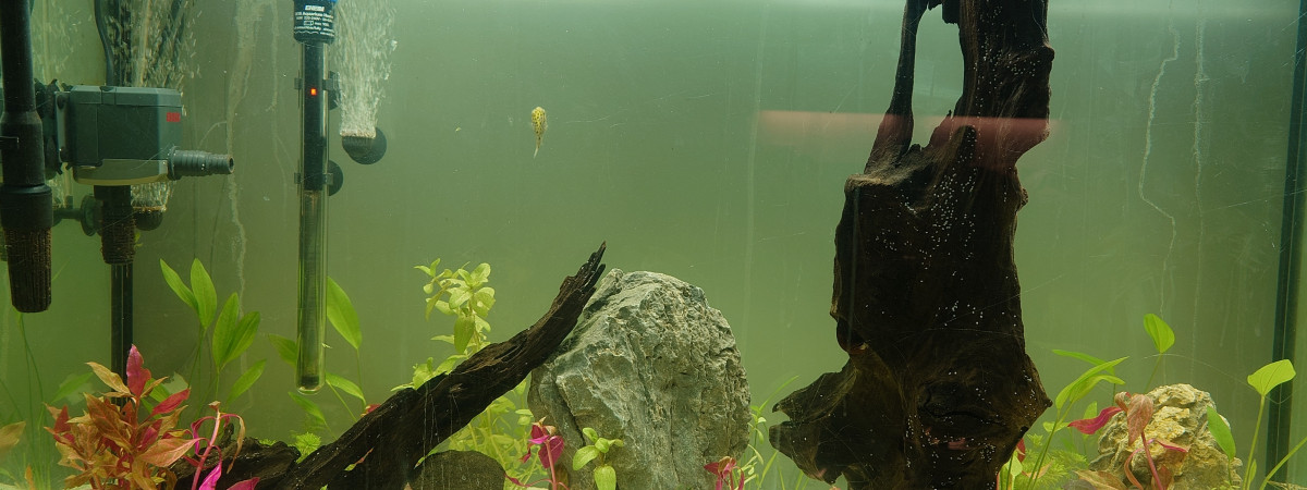 aquarium Fahaka Land