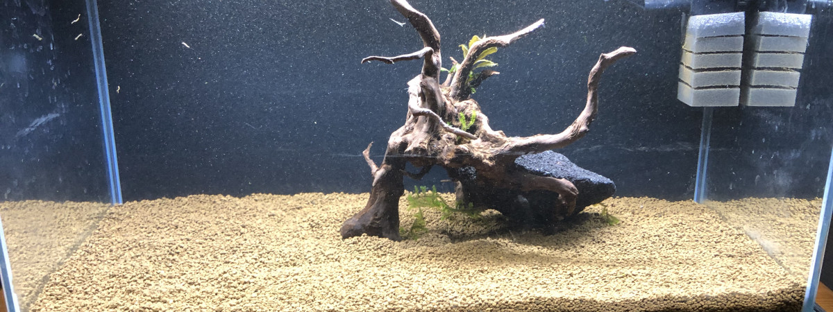 aquarium Bac 2
