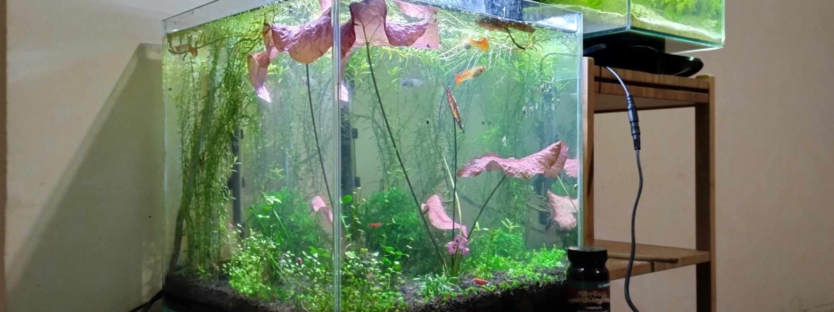 aquarium Aquarium 33 litres