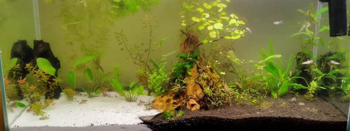 aquarium Aquarium 240 litres