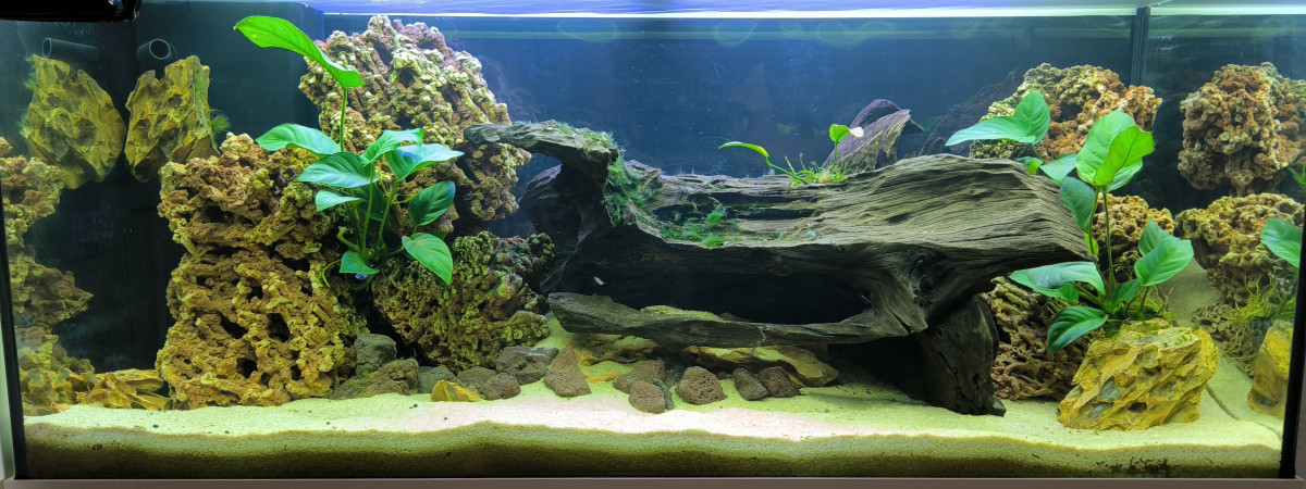 aquarium Aquarium
