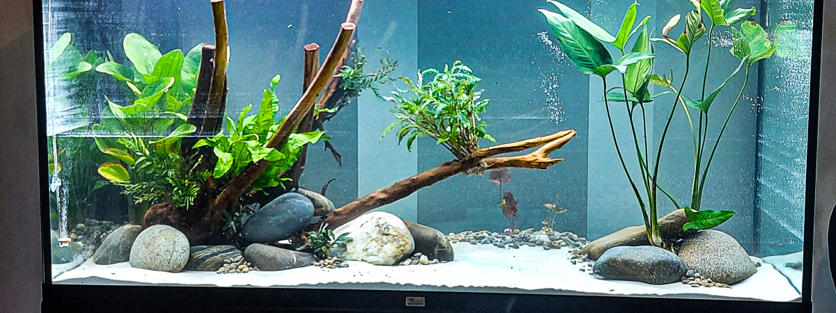 aquarium 600L