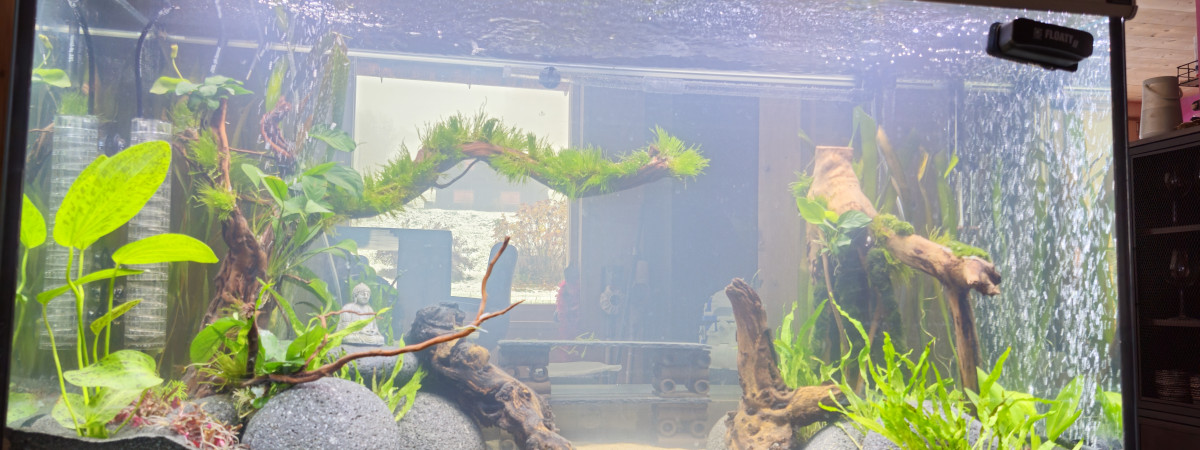 aquarium Aqua 400