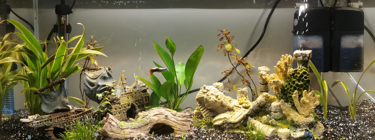 aquarium Aqua 60L