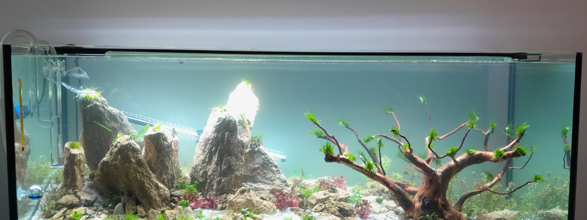aquarium Aquael 240 litres
