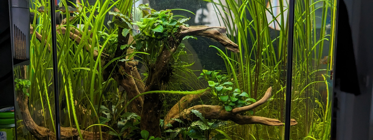 aquarium Nano