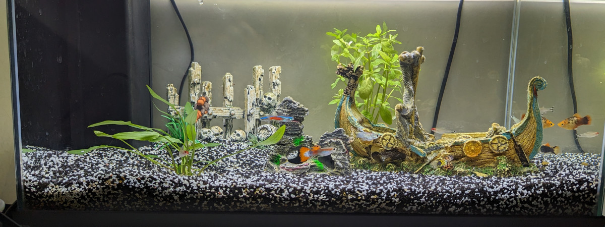 aquarium Noé