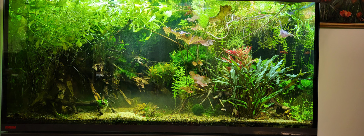 aquarium Aquarium 400Litre