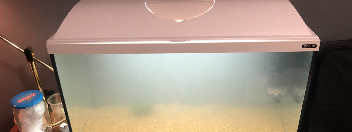 aquarium Bac 4