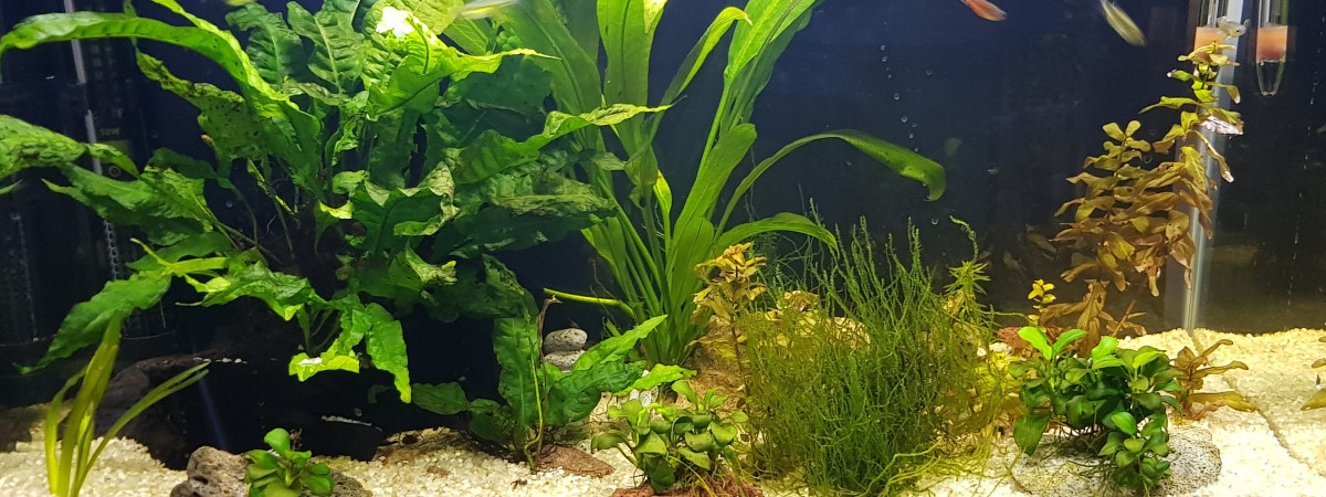 aquarium Bureau 30 litres