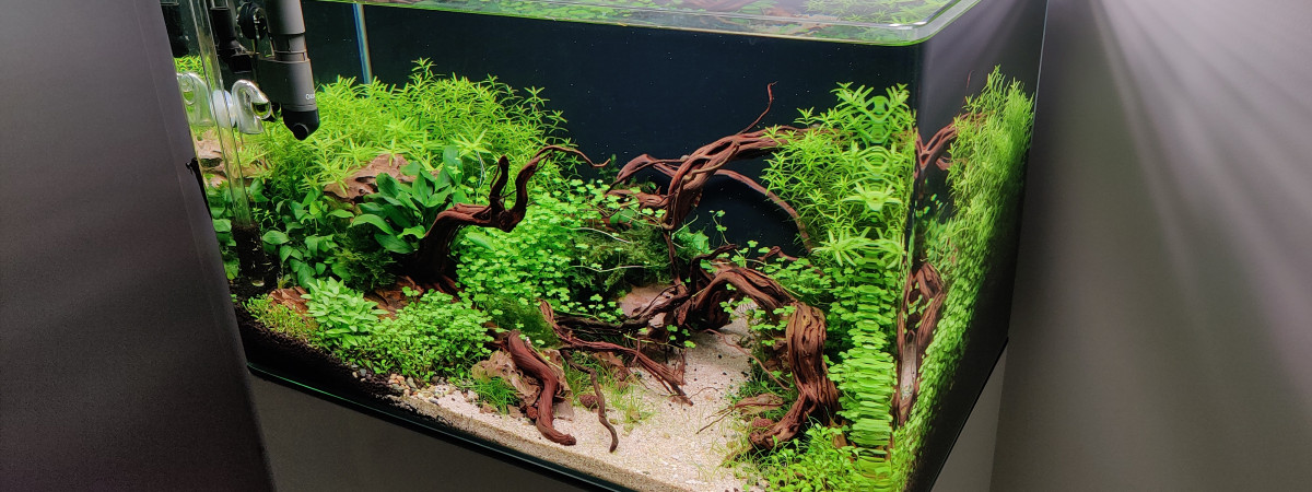 aquarium Blau 80