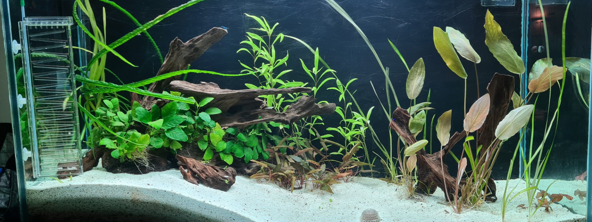 aquarium Le Gros