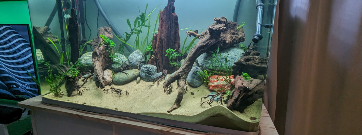 aquarium Salon 260L Australo-Guinéen