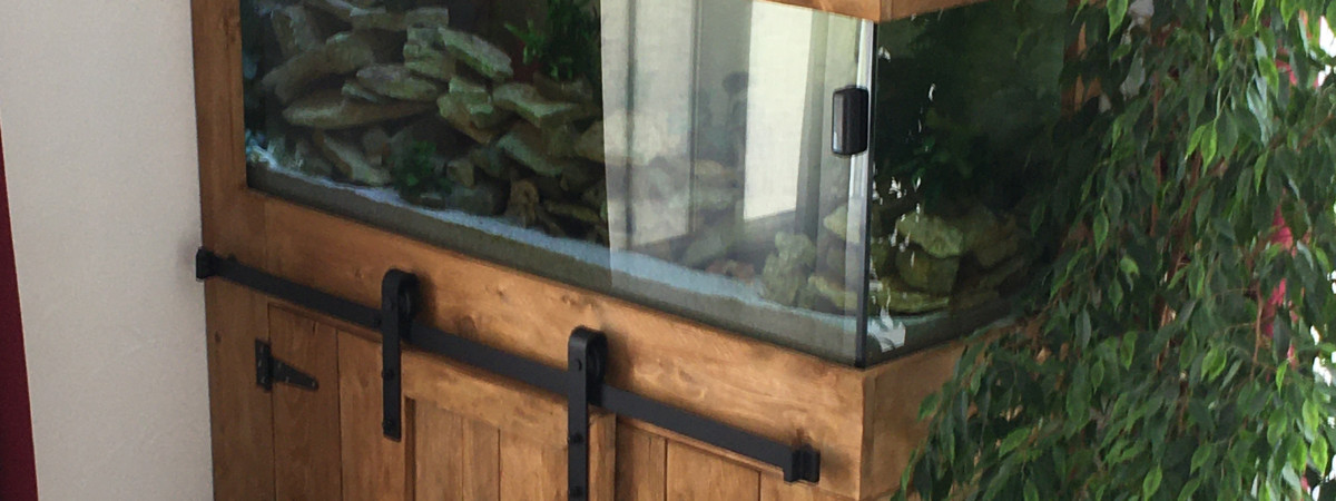 aquarium Aquarium salon