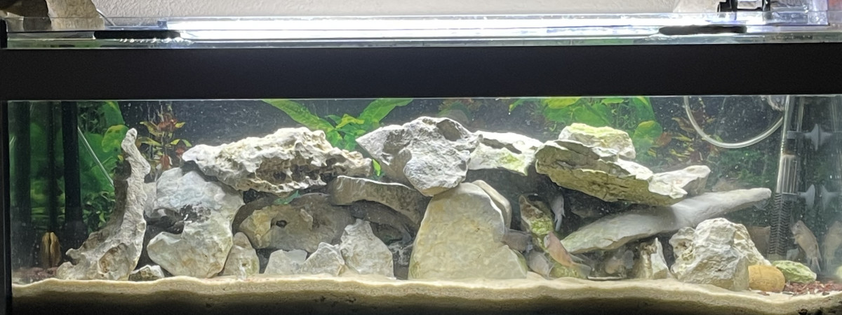 aquarium Aquarium garage