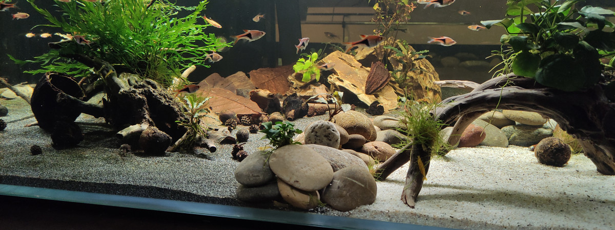 aquarium Massaux