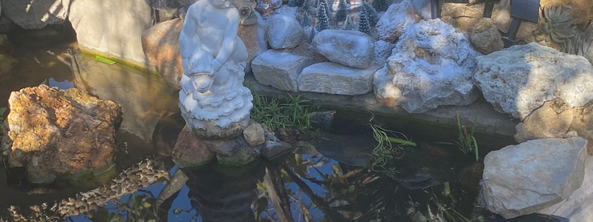 aquarium Bassin