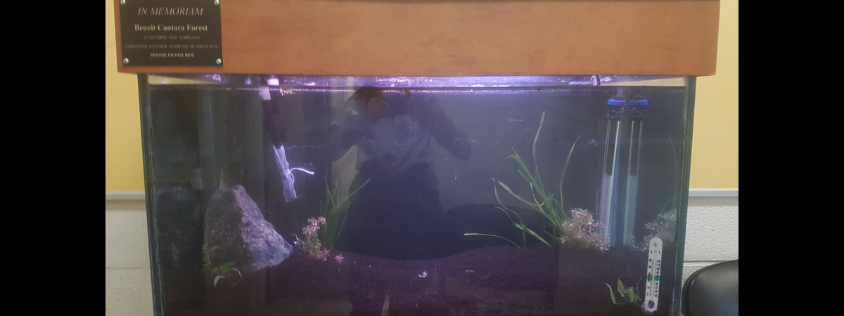 aquarium le bac de Ben école 200L