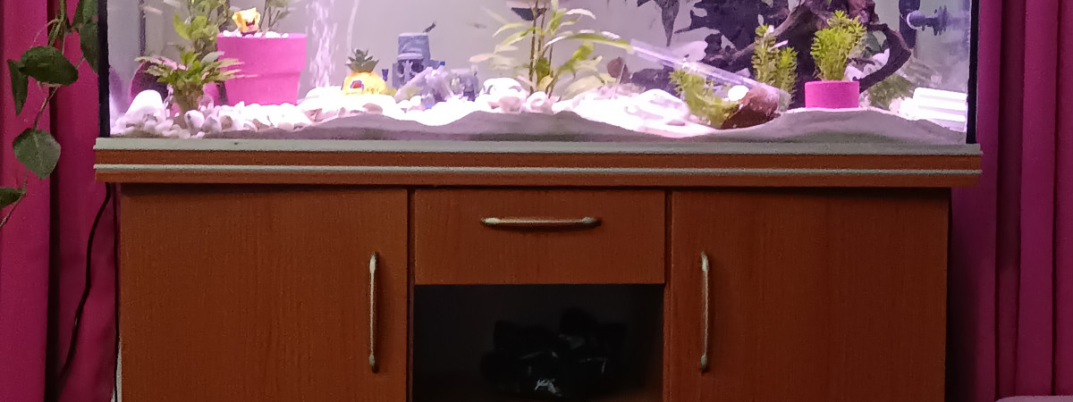 aquarium Guppys