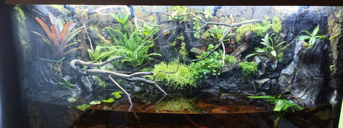 aquarium Bac 300L Léo