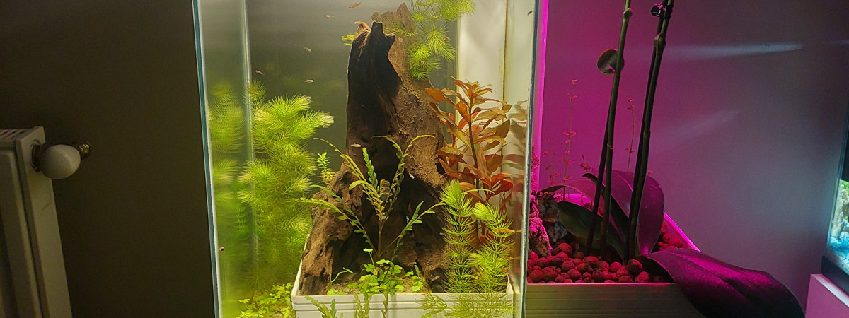 aquarium Brio