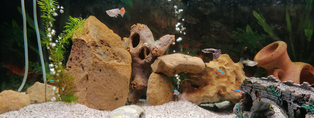 aquarium NaturoMax