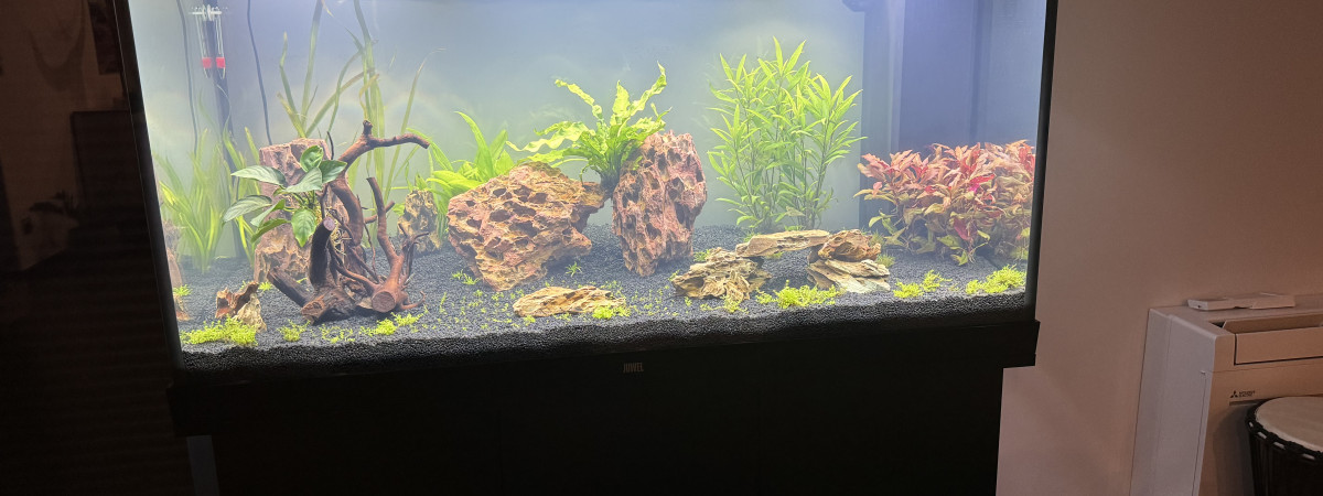 aquarium Rio 350 litres