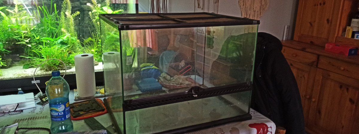 aquarium Lepido Terra 120