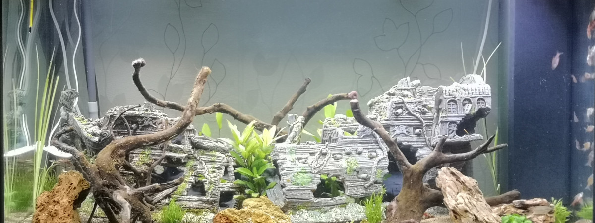 aquarium BABASSE AQUARIUM