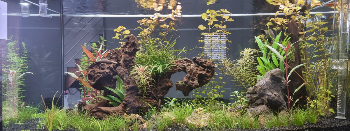 aquarium proxima250 eheim