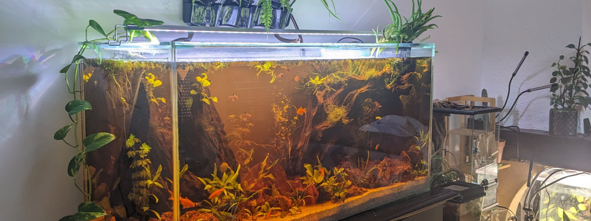 aquarium Communautaire