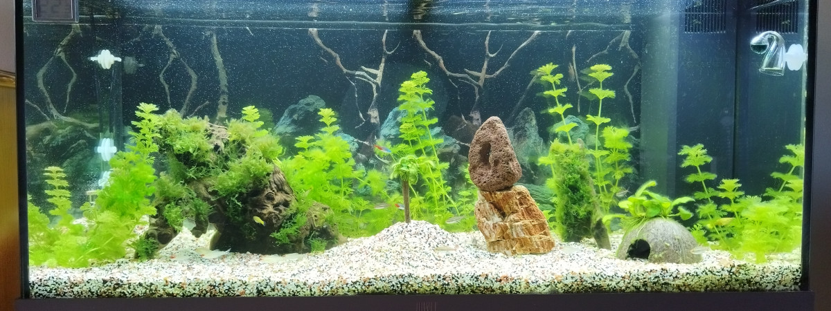 aquarium Juwel Rio 180 LED